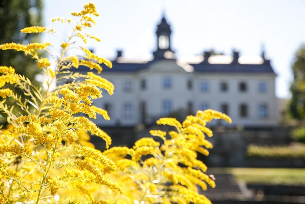 Kaggeholms Slott Bed & Breakfast Ekero ภายนอก รูปภาพ